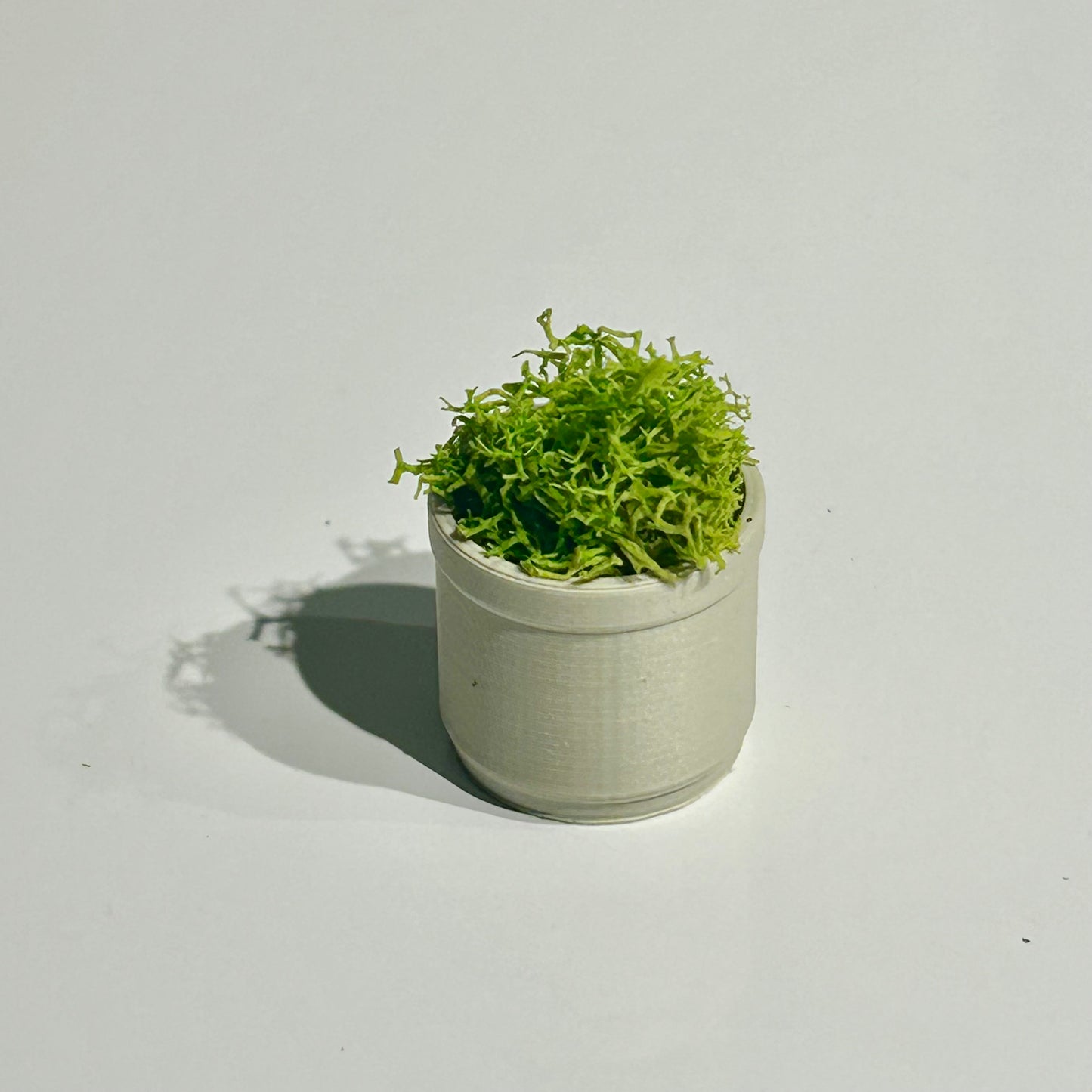 1/24 Flower/Plant pots